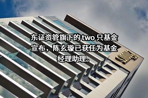 上海东方证券资产管理有限公司