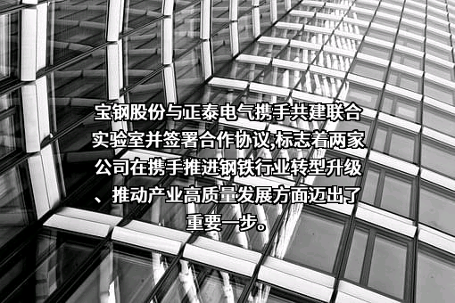 宝山钢铁股份有限公司