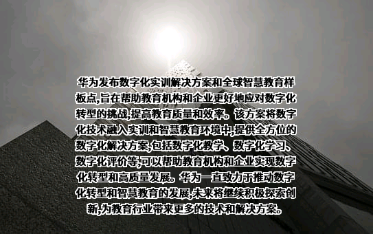 华为技术有限公司