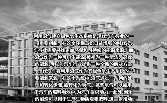 现代汽车（中国）投资有限公司