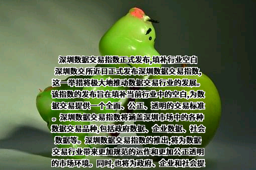深圳数交所金融服务有限公司