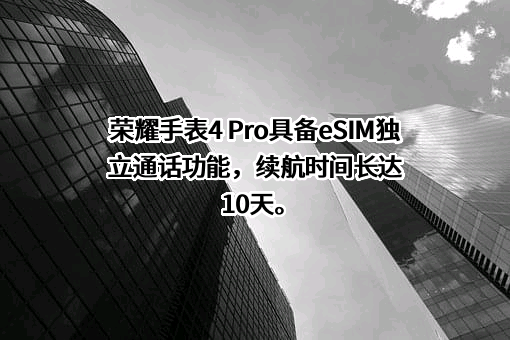 荣耀终端有限公司