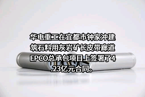 湖北楚新矿业有限公司