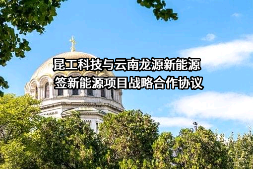云南龙源新能源有限公司