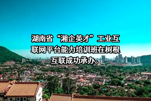 树根互联股份有限公司