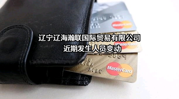 辽宁辽海瀚联国际贸易有限公司