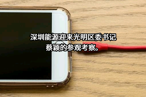 深圳能源集团股份有限公司
