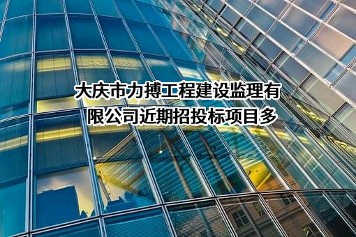 大庆市力搏工程建设监理有限公司