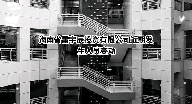 海南省雷宇辰投资有限公司