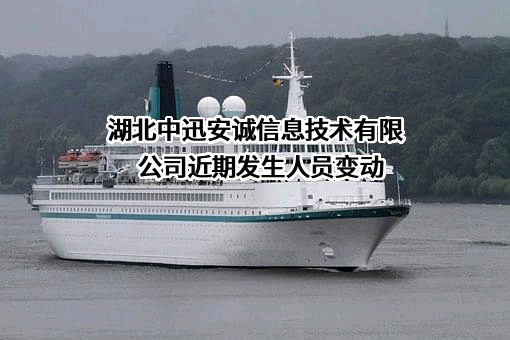 湖北中迅安诚信息技术有限公司