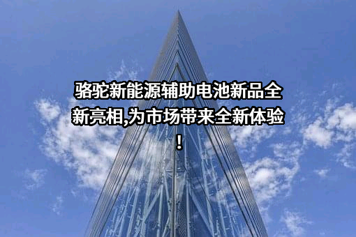 骆驼集团武汉新能源科技有限公司