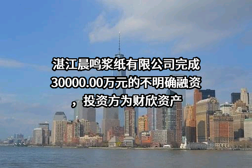 湛江晨鸣浆纸有限公司