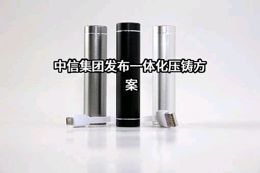 中信戴卡股份有限公司