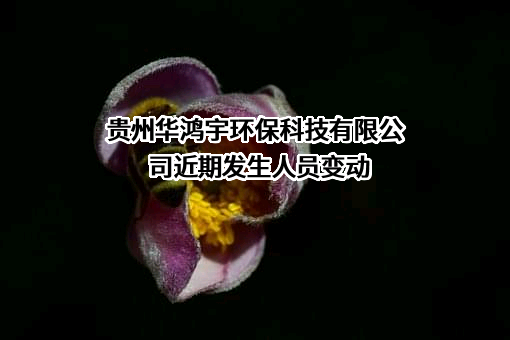 贵州华鸿宇环保科技有限公司