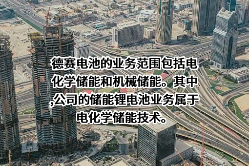 深圳市德赛电池科技股份有限公司