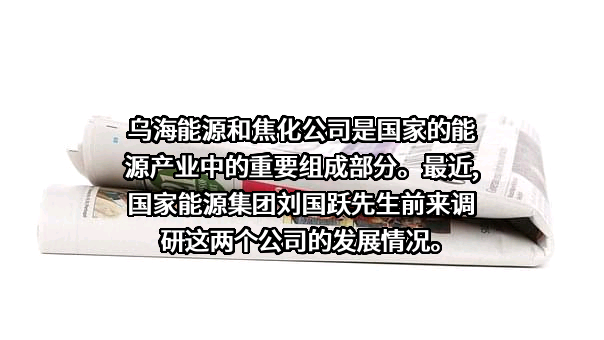 国家能源投资集团有限责任公司