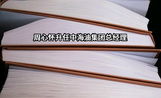 新疆中海油能源集团股份有限公司