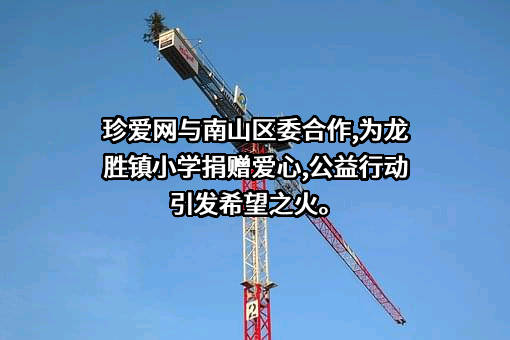 深圳市珍爱网信息技术有限公司