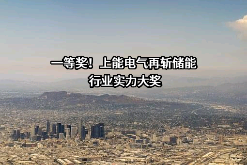上能电气股份有限公司