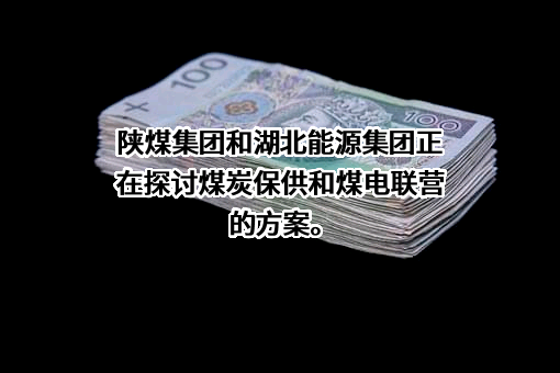 湖北能源集团新能源发展有限公司