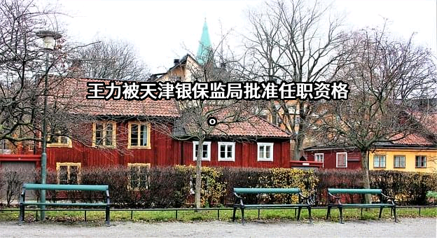 中银保险有限公司
