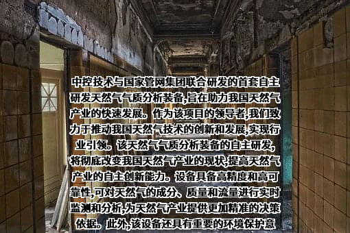 国家石油天然气管网集团有限公司
