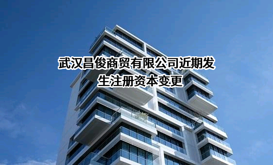 武汉昌俊商贸有限公司