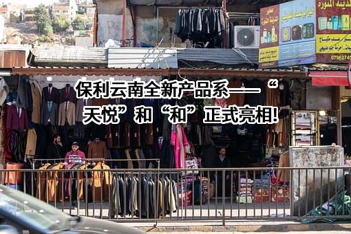 保利云南房地产开发有限公司