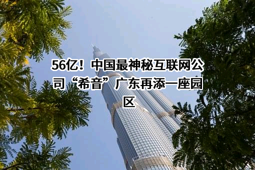 肇庆大旺珠船货运码头有限公司