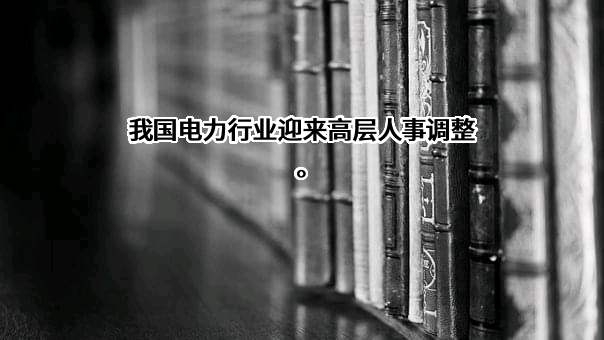 国电电力发展股份有限公司