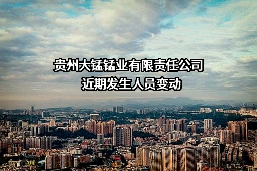 贵州大锰锰业有限责任公司