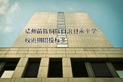 靖州苗族侗族自治县永平学校近期招投标项目多