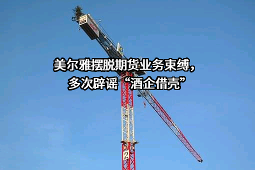 美尔雅期货有限公司