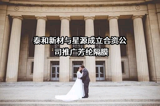 泰和新材集团股份有限公司
