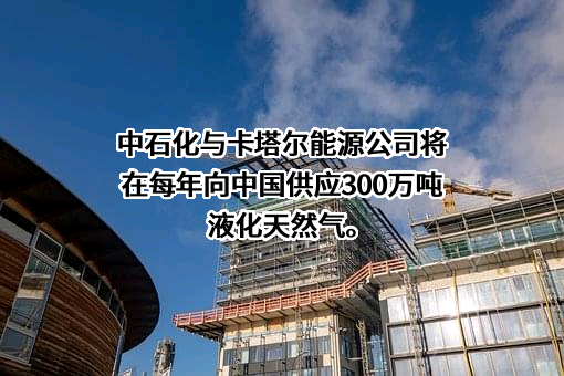 中国石油化工集团有限公司