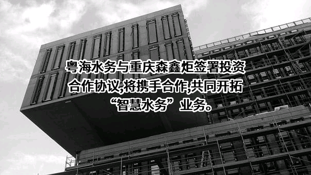 重庆森鑫炬科技有限公司