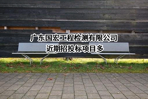 广东国宏工程检测有限公司