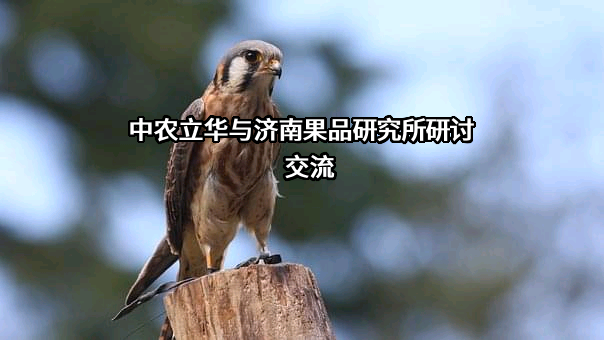 中农立华生物科技股份有限公司