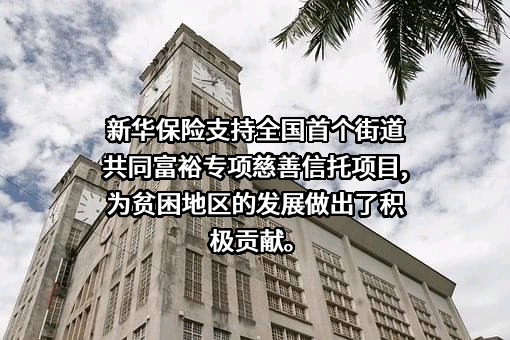 新华人寿保险股份有限公司
