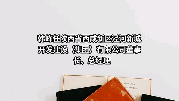 韩峰任陕西省西咸新区泾河新城开发建设（集团）有限公司董事长、总经理