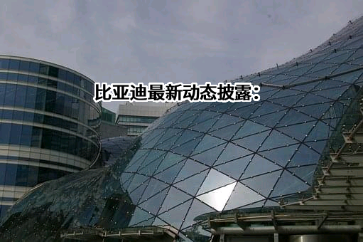 深圳腾势新能源汽车有限公司