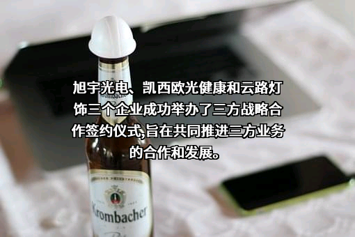 旭宇光电（深圳）股份有限公司