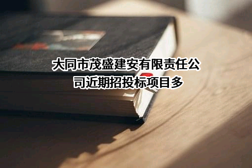大同市茂盛建安有限责任公司