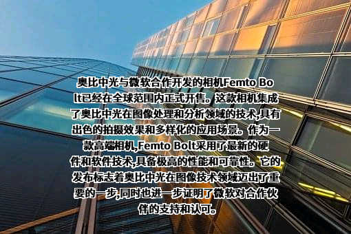 微软（中国）有限公司