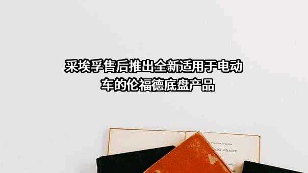 采埃孚（中国）投资有限公司