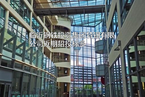 临沂钢铁投资集团特钢有限公司近期招投标项目多