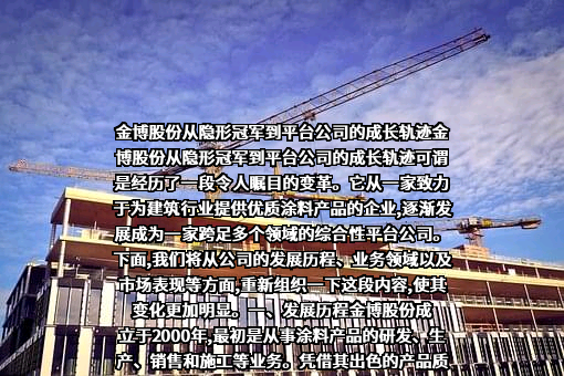 湖南金博碳素股份有限公司