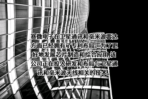 北京赛微电子股份有限公司