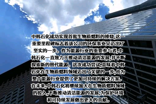 江苏中韩石化有限公司