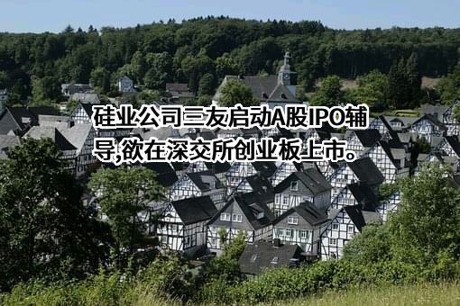 唐山三友硅业有限责任公司